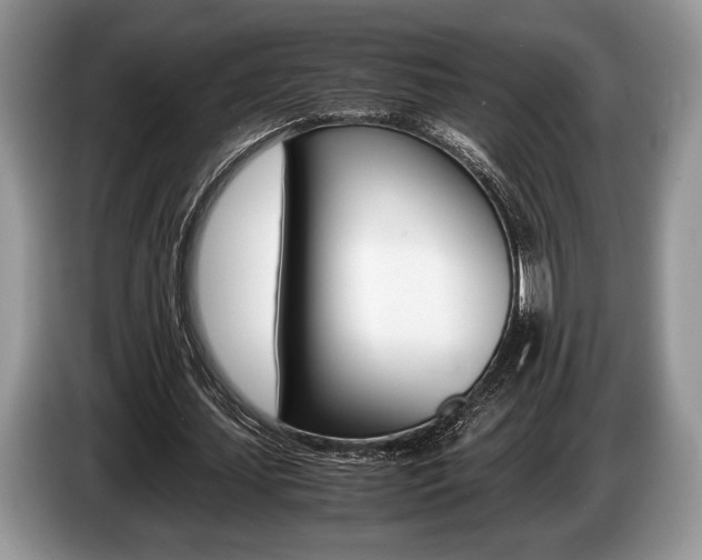 X0000087560627200704270926
