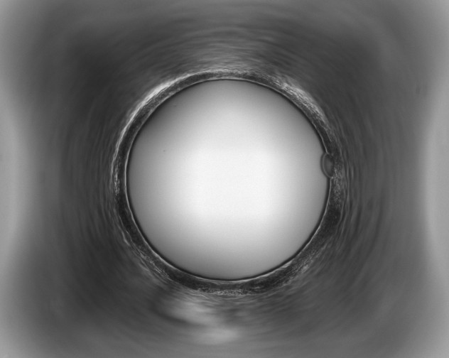 X0000087560628200704270926