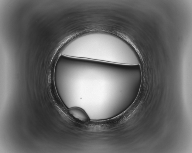X0000087560629200704270926