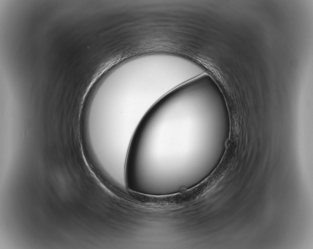 X0000087560630200704270926