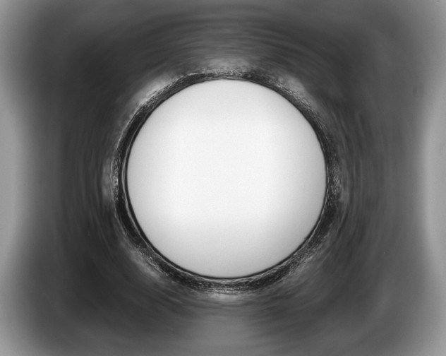X0000087560632200704270926