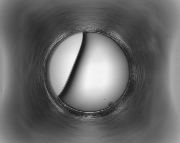 X0000087560634200704270926