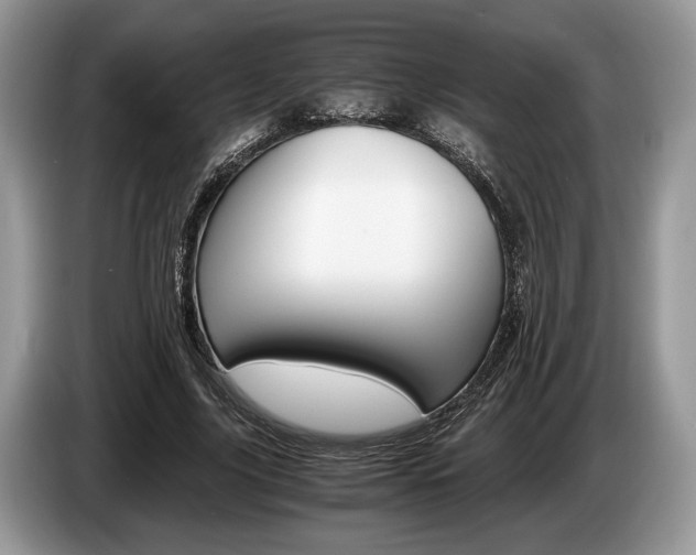 X0000087560635200704270926