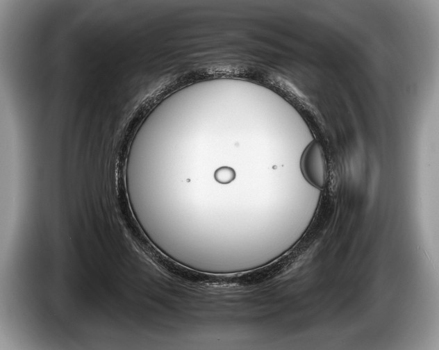 X0000087560637200704270926