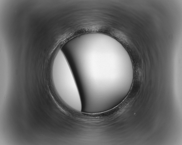X0000087560638200704270926