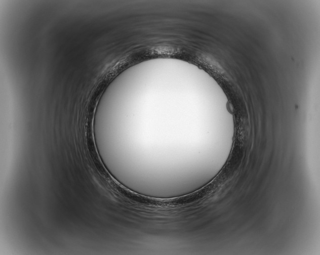 X0000087560639200704270926