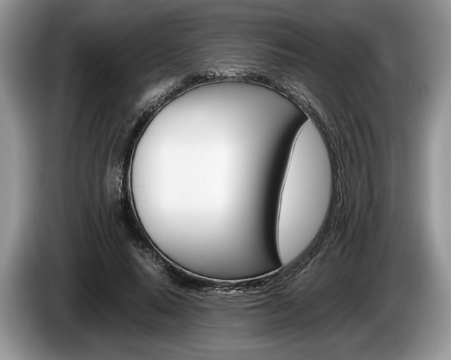 X0000087560640200704270926