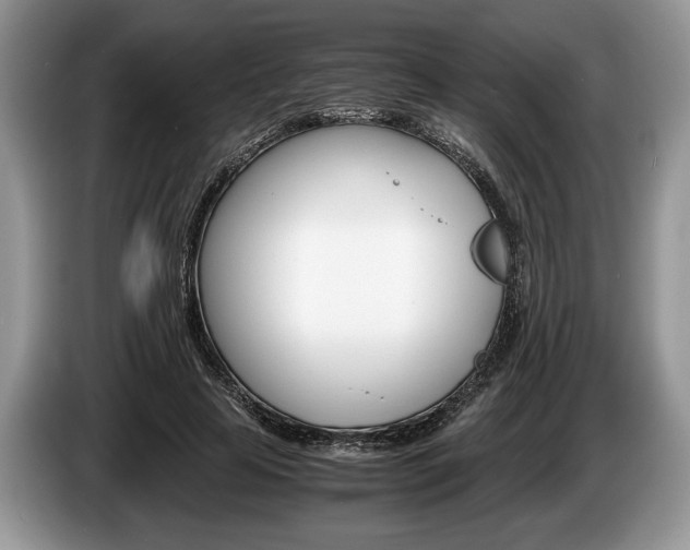 X0000087560641200704270926