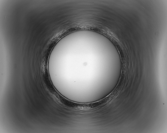 X0000087560644200704270926