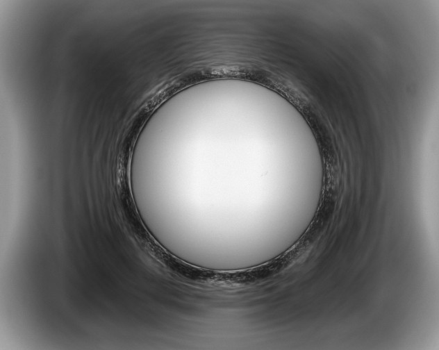 X0000087560648200704270926