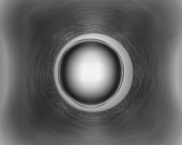 X0000087560660200704270927