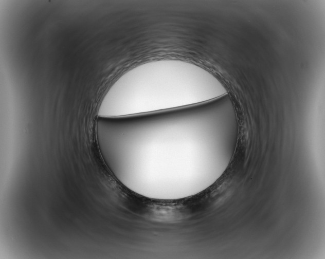 X0000087560661200704270927