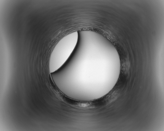X0000087560662200704270927