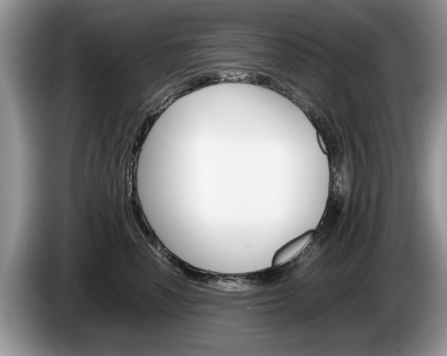 X0000087560666200704270927