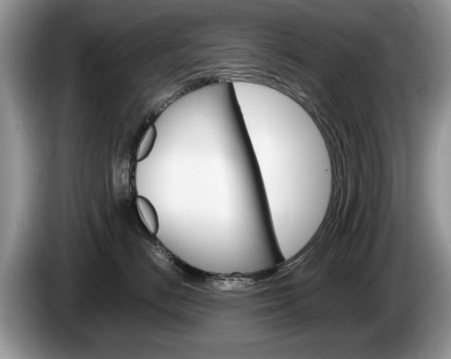 X0000087560670200704270927