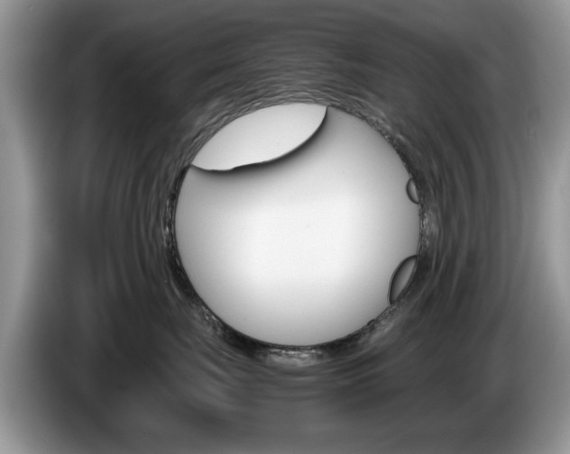 X0000087560671200704270927