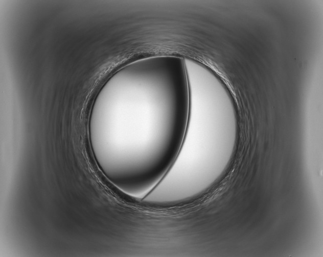 X0000087560673200704270926