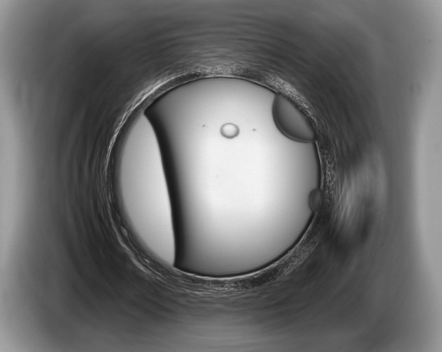 X0000087560674200704270926