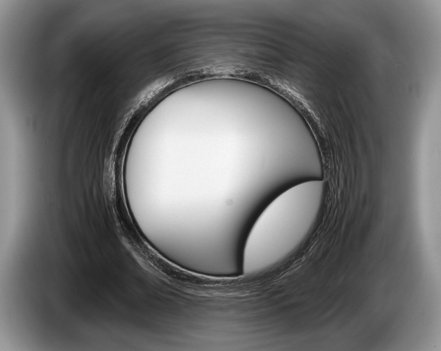 X0000087560678200704270926