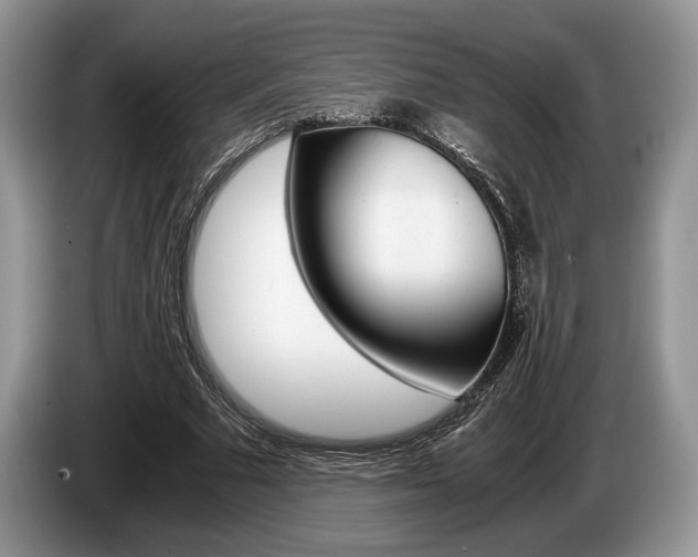 X0000087560681200704270926