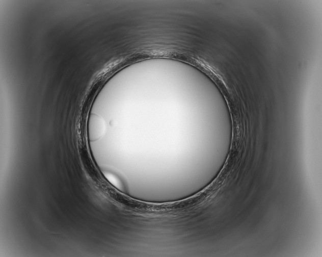 X0000087560682200704270926