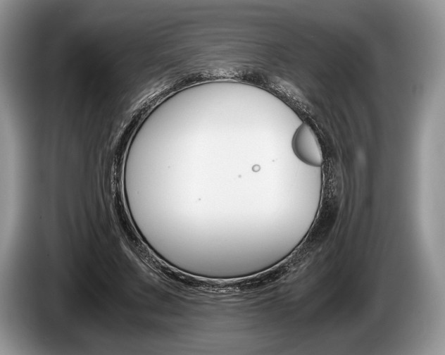 X0000087560683200704270926