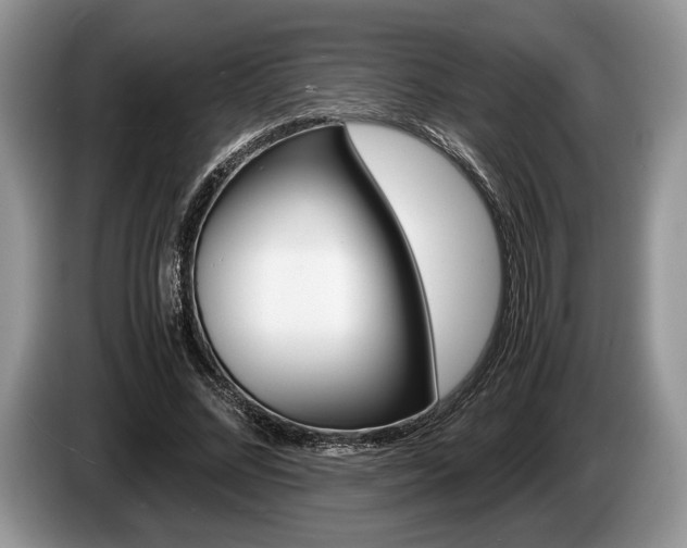 X0000087560684200704270926