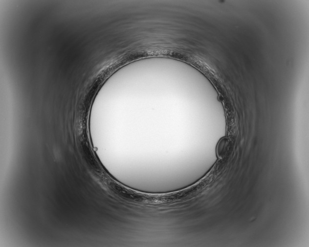 X0000087560687200704270926