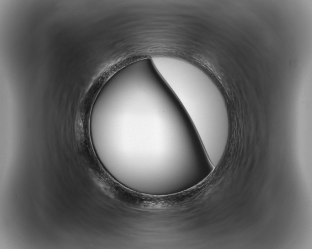 X0000087560688200704270926
