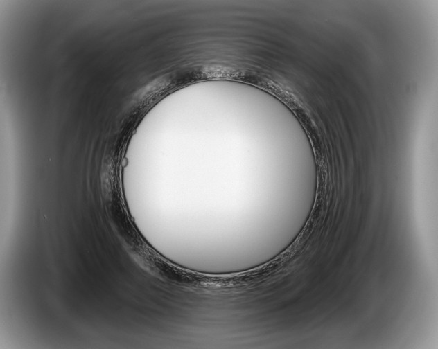 X0000087560690200704270926