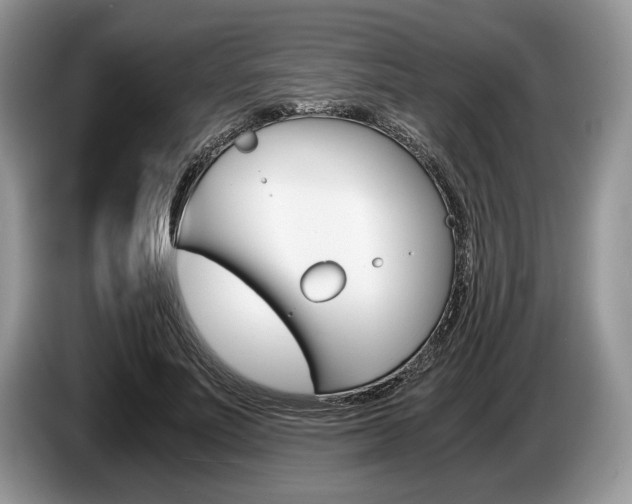 X0000087560691200704270926