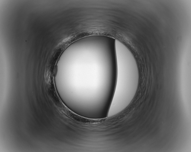 X0000087560692200704270926