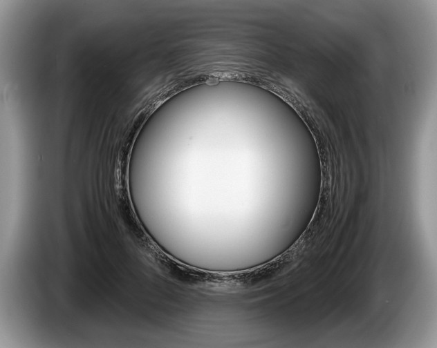 X0000087560696200704270926