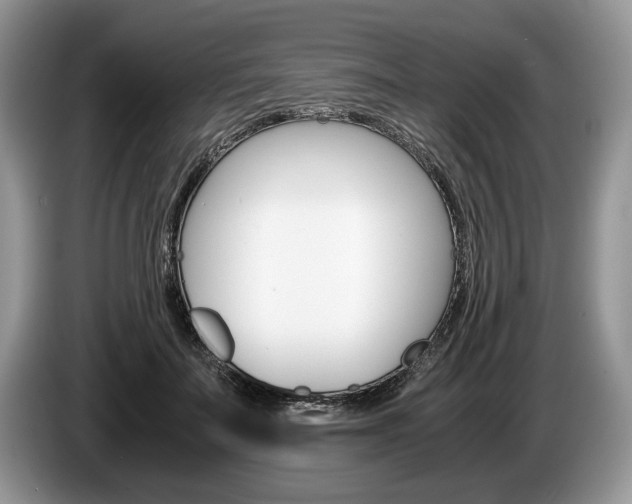 X0000087560699200704270926
