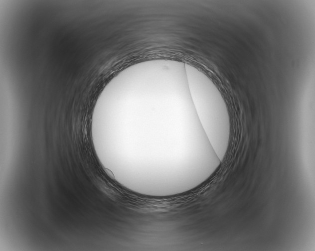 X0000087560701200704270926