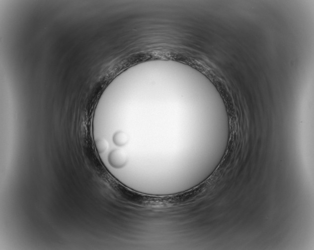X0000087560702200704270926