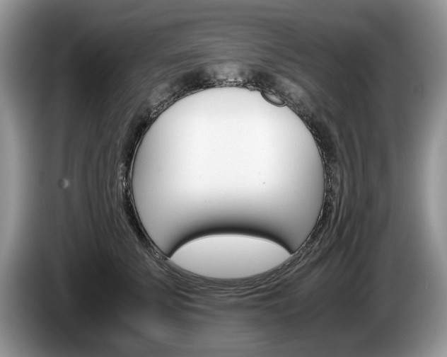 X0000087560707200704270926