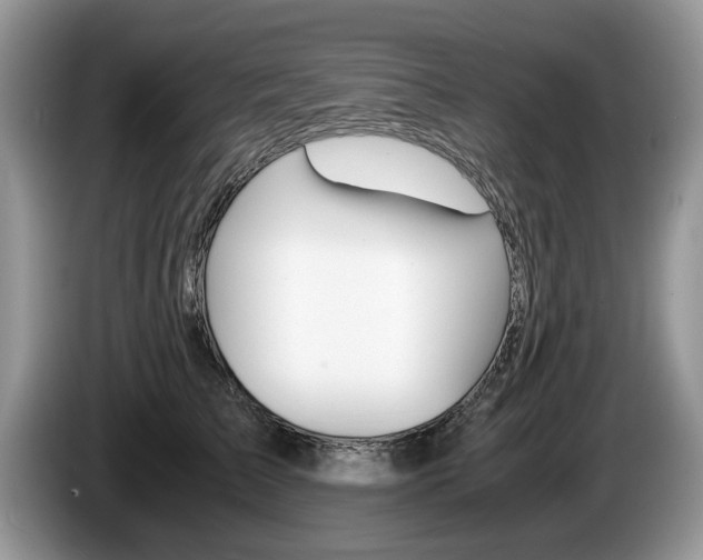 X0000087560709200704270926