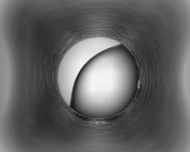 X0000087560712200704270926