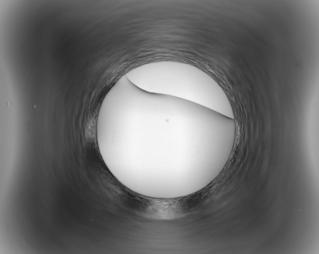 X0000087560713200704270926