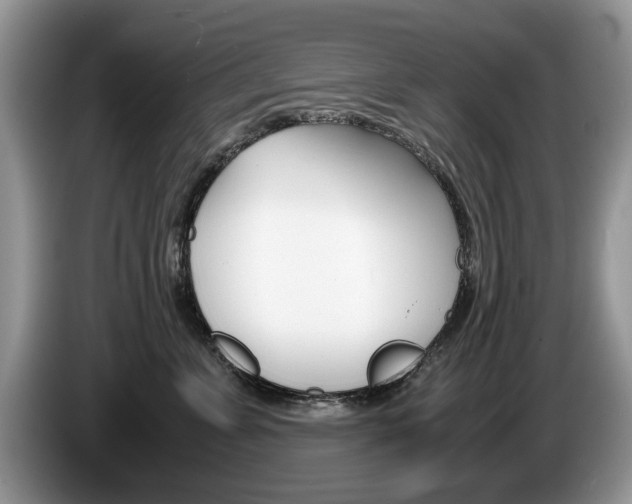 X0000087560715200704270926