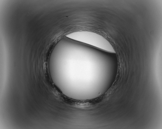 X0000087560716200704270926