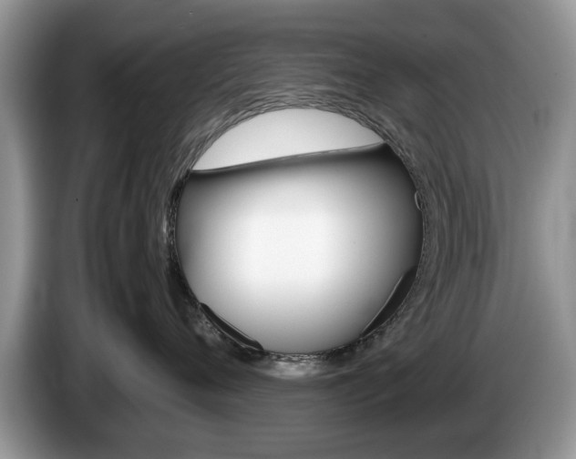 X0000087560720200704270926