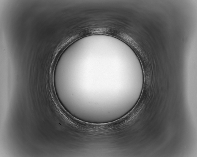 X0000087560721200704270925