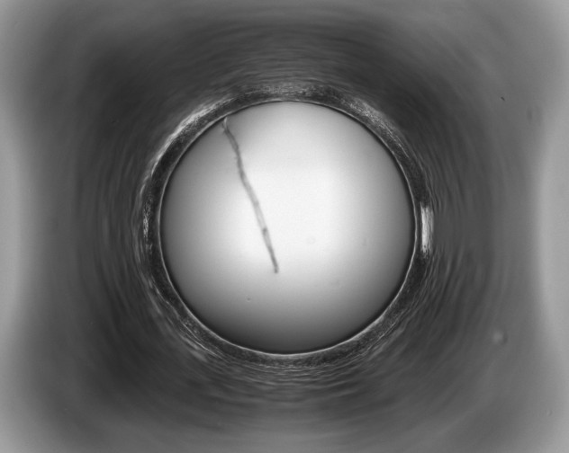 X0000087560723200704270925
