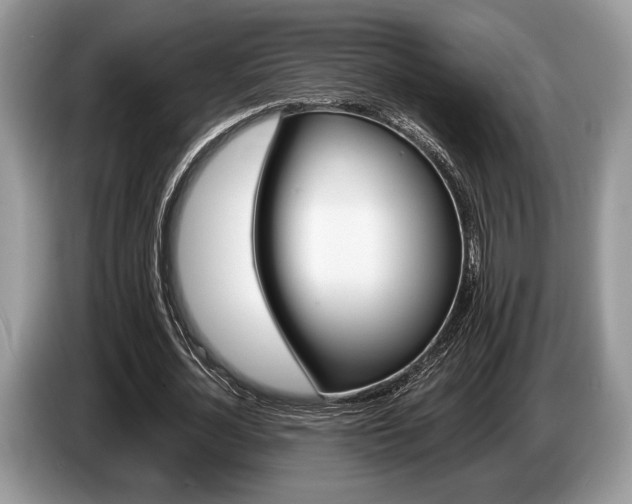 X0000087560724200704270925