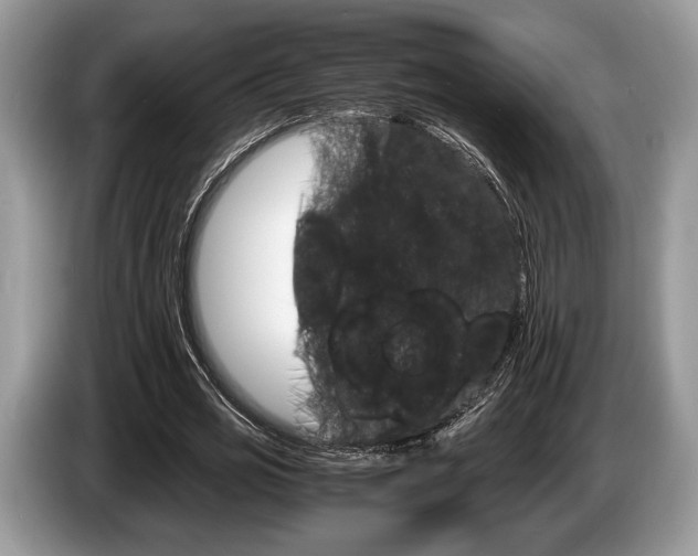 X0000087560725200704270925
