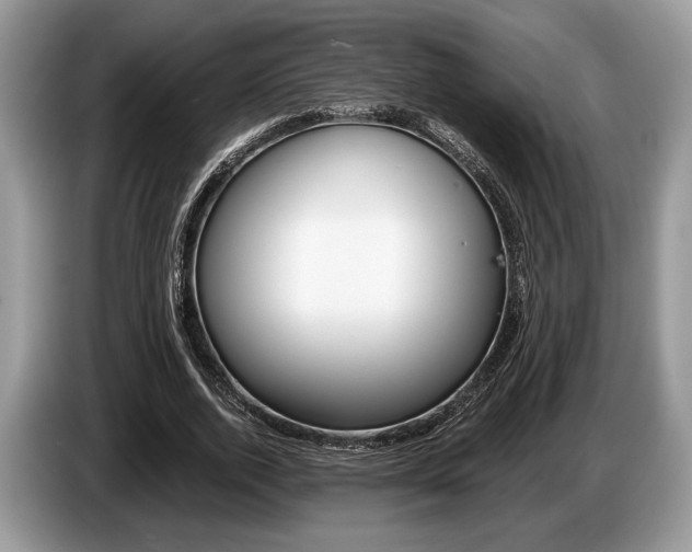 X0000087560728200704270925