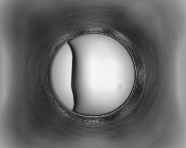 X0000087560729200704270925