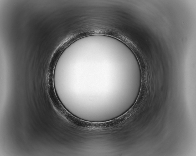 X0000087560730200704270925